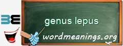 WordMeaning blackboard for genus lepus